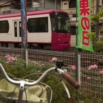 【Tokyo Train Story】生活感たっぷりの都電下町風景