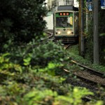 【Tokyo Train Story】S字カーブを曲がってくる都電荒川線