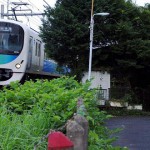 【Tokyo Train Story】緑の中飛び出してくる西武池袋線