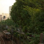 【Tokyo Train Story】緑のトンネルを通る阪堺カラーの緑の都電