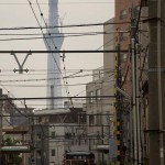 【Tokyo Train Story】阪堺カラーの都電と東京スカイツリー