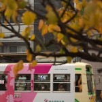 【Tokyo Train Story】黄色い葉っぱと都電荒川線