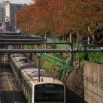 【Tokyo Train Story】山手線の紅葉風景