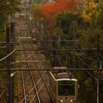 【Tokyo Train Story】夕暮れの秋色都電風景