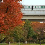 【Tokyo Train Story】紅葉の舎人公園を行く日暮里舎人ライナー