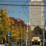 【Tokyo Train Story】秋空と黄葉と都電荒川線と