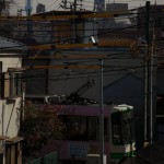 【Tokyo Train Story】池袋付近からも東京スカイツリー
