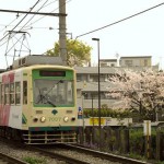 【Tokyo Train Story】1本の桜の木
