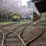 【Tokyo Train Story】貨物駅の桜模様