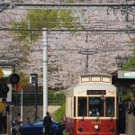 【Tokyo Train Story】飛鳥山をバックにした都電レトロ風電車