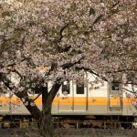 【Tokyo Train Story】葉桜の向こうの中央線