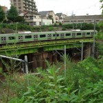 【Tokyo Train Story】山手渓谷