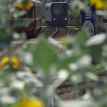 【Tokyo Train Story】名残の夏の日差し
