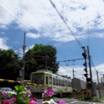 【Tokyo Train Story】夏の日の花壇