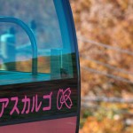 【Tokyo Train Story】紅葉のアスカルゴ