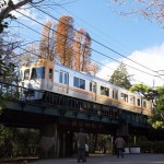 【Tokyo Train Story】井の頭公園の散歩道（京王井の頭線）