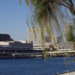【Tokyo Train Story】運河沿いの開放感があふれる景色（東京モノレール）
