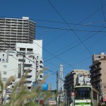 【Tokyo Train Story】ねこじゃらしがある都電荒川線沿線風景