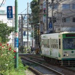 【Tokyo Train Story】都電荒川線沿線のバラを見てみよう！
