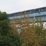 【Tokyo Train Story】ゆりかもめ沿線の黄葉