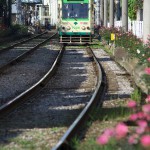 【Tokyo Train Story】バラを眺めて都電に乗ろう