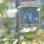 【Tokyo Train Story】キラキラはっぱの向こうから（都電荒川線）