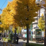 【Tokyo Train Story】銀杏並木（都電荒川線）
