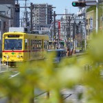 【Tokyo Train Story】都電あかおび号が走る光景も日常になってきた今日このごろ