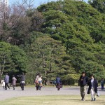 【東京春景色】浜離宮恩賜庭園で見かけた緑、黄色、桃色、青の春景色