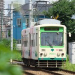 【Tokyo Train Story】夏の緑（都電荒川線）