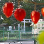 【Tokyo Train Story】都電荒川線のほおずき