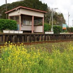 いすみ鉄道新田野駅周辺で菜の花と列車を撮影する 春の青春18きっぷの旅 いすみ鉄道530編 その2