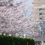 【Tokyo Train Story】ピンクのぼんやりとした空気（京成電鉄）