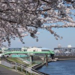 【Tokyo Train Story】隅田川春景色（京成本線）