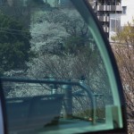 【Tokyo Train Story】アスカルゴ越しの桜