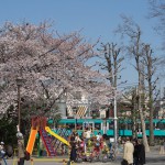 【Tokyo Train Story】春の公園からの眺め（東急世田谷線）