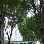 【Tokyo Train Story】緑の並木道（東急多摩川線）