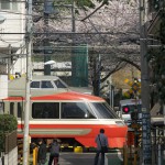 【Tokyo Train Story】桜咲く踏切に小田急ロマンカーのLSE(7000形）が通る