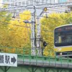【Tokyo Train Story】水道橋駅横のイチョウの木（総武線）
