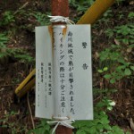 山中の立派な子ノ権現を参拝する 秩父伊豆ヶ岳登山 その6