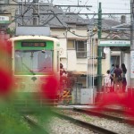 【Tokyo Train Story】バラが残る電停（都電荒川線）