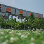【Tokyo Train Story】一面のシロツメクサ（多摩モノレール）