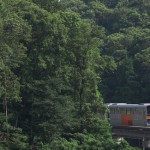 【Tokyo Train Story】森の中から多摩モノレール
