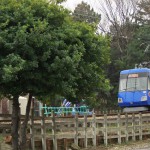 【Tokyo Train Story】森の中の東急世田谷線
