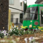 【Tokyo Train Story】小さな春（東急世田谷線）