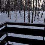 雪が降る中、早朝の森林浴散歩に出かける 春の草津温泉旅行 その17