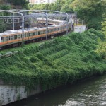 【Tokyo Train Story】お茶の水橋から望む（中央線）