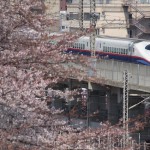 【Tokyo Train Story】桜咲く東北新幹線沿線