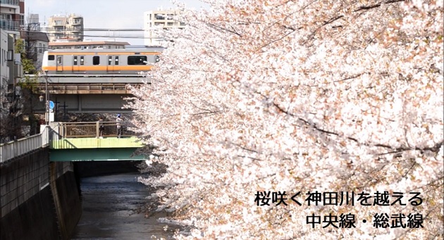 東京春景色 桜咲く神田川を越える中央線 総武線を動画撮影してみた 桜吹雪の中を走る列車がかっこよかった とくとみぶろぐ