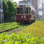 【Tokyo Train Story】緑いっぱいの景色の中を走る都電レトロ風車両9001